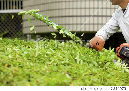 Pruning work 2854073