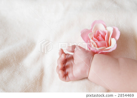 雜物 日常必需品 日用品 2854469