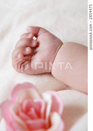 右手 一隻手 雜物 2854475