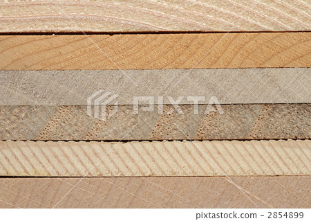 Group tree Group tree 2854899