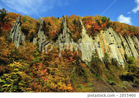 stone pillar, maple, yellow leafe 2855460