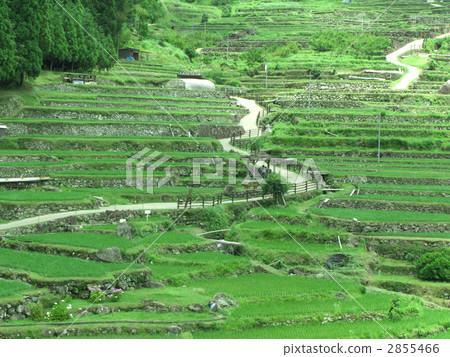 四谷千紙 2855466