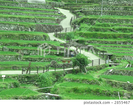 四谷千紙 2855467