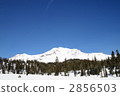 Mountain Sheesta in early spring 2856503