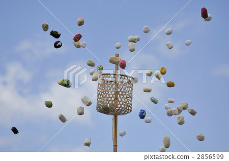 多摩憤怒 空中 高價 2856599