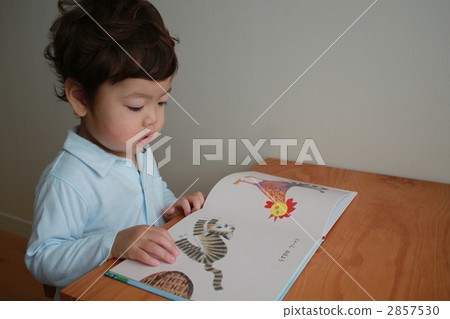 Reading a picture book 2857530
