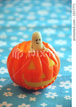 halloween, floral, floral design 2857771