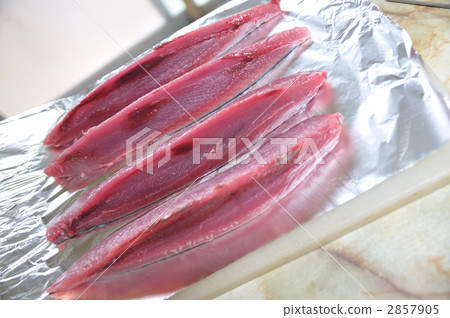 Skipjack tuna 2857905