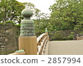  公園 2857994