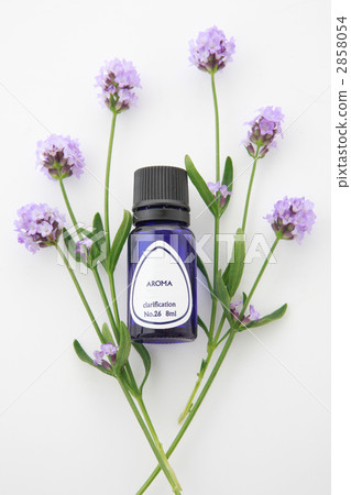 鳥瞰薰衣草和芳香油 鳥瞰薰衣草和芳香油 2858054