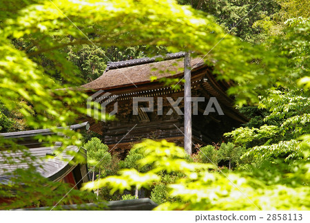 Shogoji鐘樓 Shogoji鐘樓 2858113