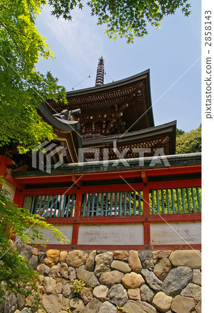 Shogoji寺 2858143