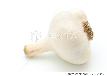 From the side garlic From the side garlic 2858352