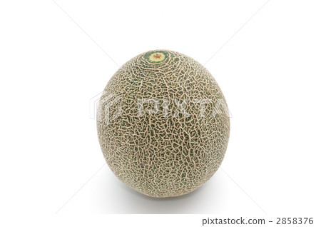 Up melon 2858376
