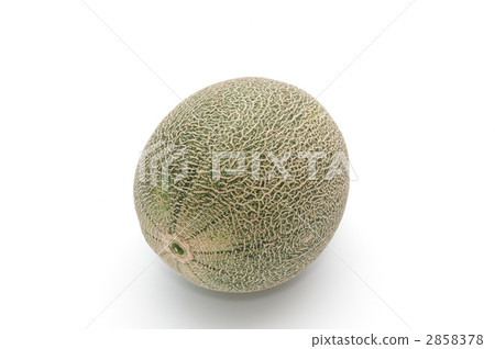 Melon lying down Melon lying down 2858378