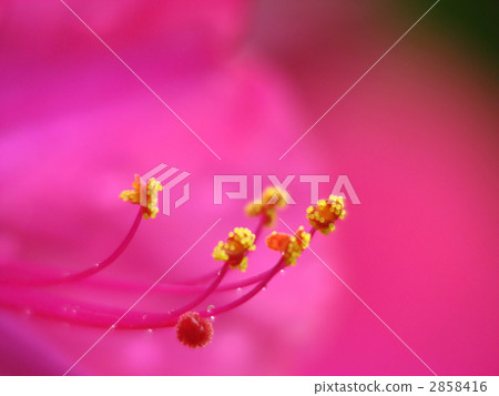 Osloi burner Osloi burner 2858416