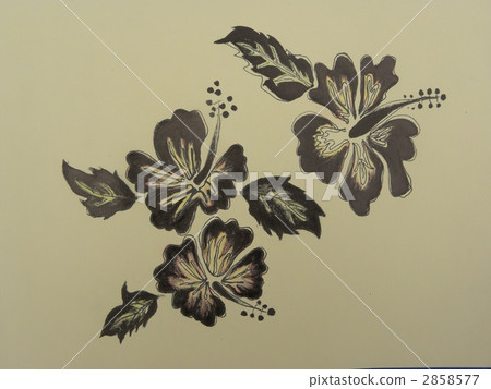 Hibiscus hand drawing 2858577