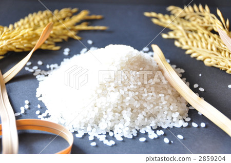 food, foods, harvest 2859204