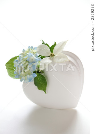 花瓶 日本開花山茱萸 日常生活 2859258