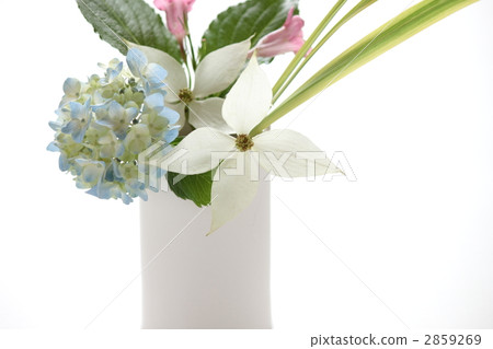 亮粉紅色花 大豆紙漿 錦帶花 2859269