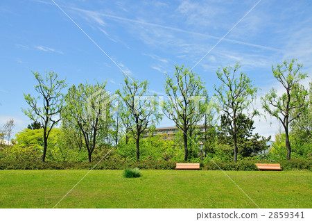 Fresh green in the park Fresh green in the park 2859341