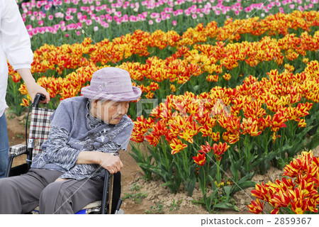 Lovely grandma 2859367