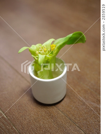 清幹隆的響聲 清幹隆的響聲 2859519