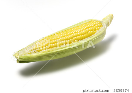 corn  2859574