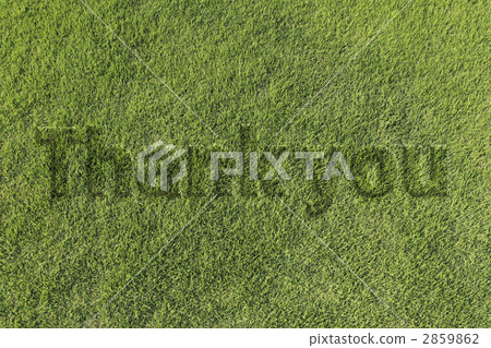 Grass letters 2859862