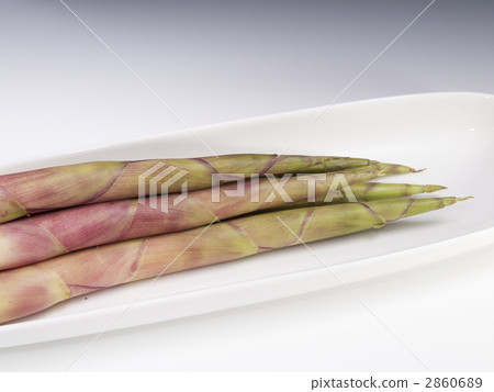 筍公主只 筍公主只 2860689