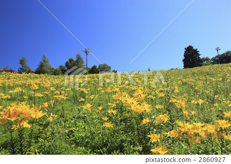 Dyna Land Hundred Gakuen 2860927