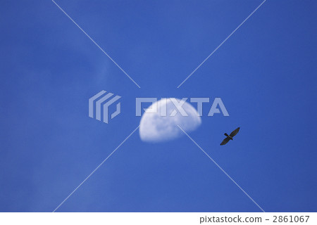 Moon and Shashiba 2861067