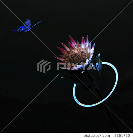 Butterflies and flowers 2861760
