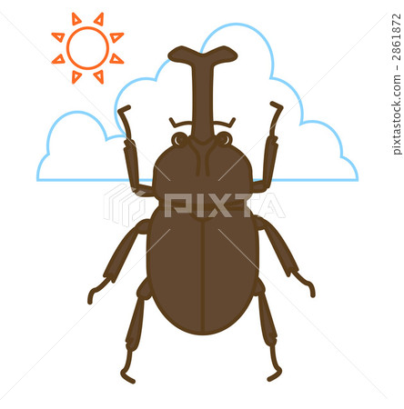 甲蟲 2861872