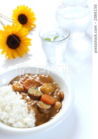 Summer vegetable curry Summer vegetable curry 2866150