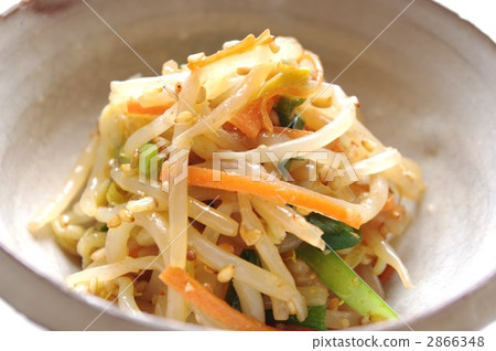 Nanuru用豆芽和韭蔥和胡蘿蔔 Nanuru用豆芽和韭蔥和胡蘿蔔 2866348