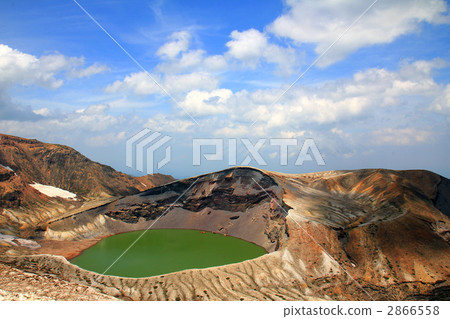 Zao ginkgo 2866558