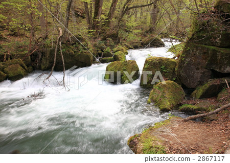 Oirase stream 2867117