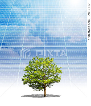 Solar panels and trees Solar panels and trees 2867147