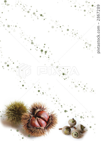 Autumn frame 2867289