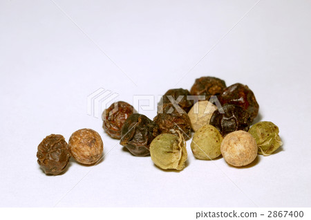 五穀辣椒 2867400