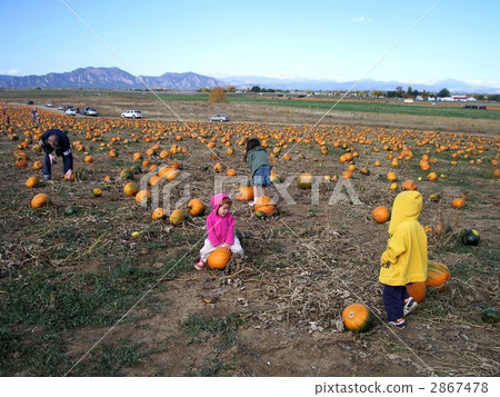 Family pick up pumpkin Family pick up pumpkin 2867478