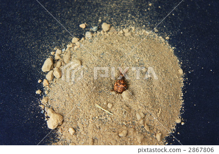 螞蟻山 螞蟻山 2867806