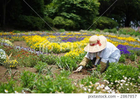 照顧一朵花的婦女在公園 照顧一朵花的婦女在公園 2867857