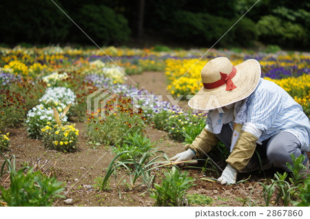 照顧一朵花的婦女在公園 照顧一朵花的婦女在公園 2867860