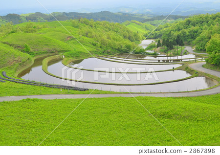 梯田 稻株栽培 熊本縣 2867898