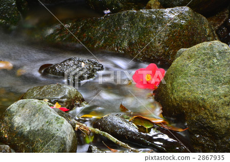 產山村 照片現貨 河流源頭 2867935