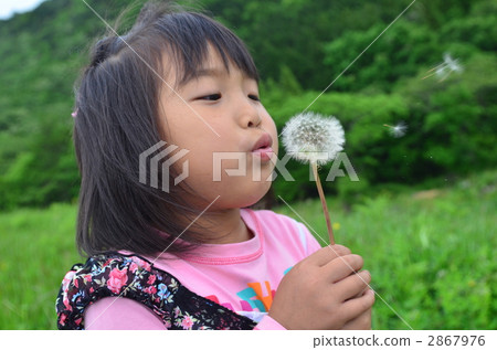 女生 女 女性 2867976