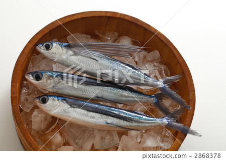 飛魚 新鮮的魚 海鮮 2868378