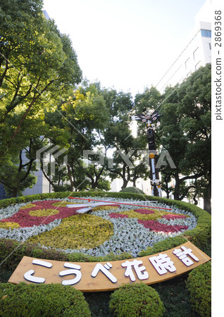 Kobe flower clock 2869368